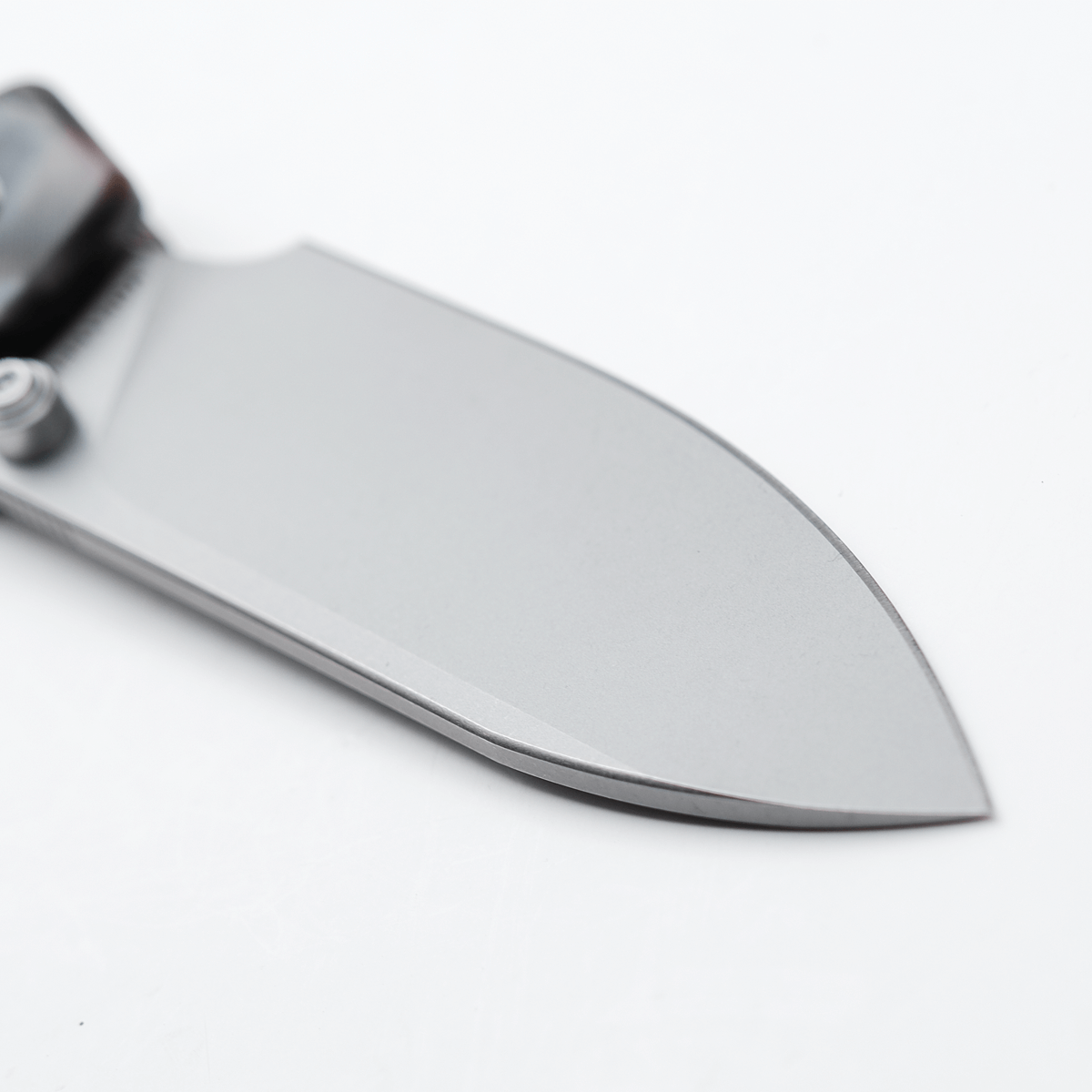 Vosteed Raccoon knife blade detail, drop point, Nitro-V steel