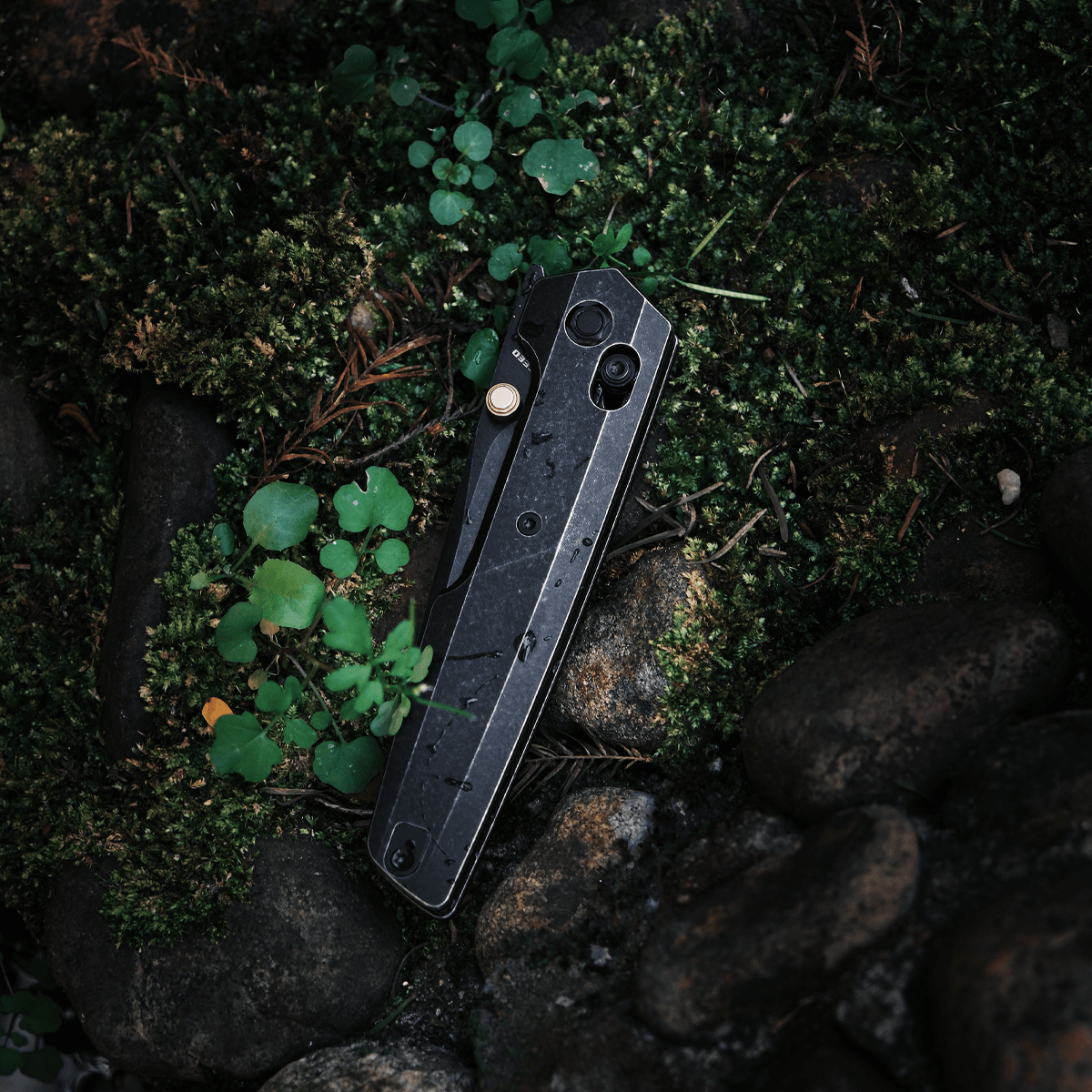 Vosteed Dachshund knife on moss and stone