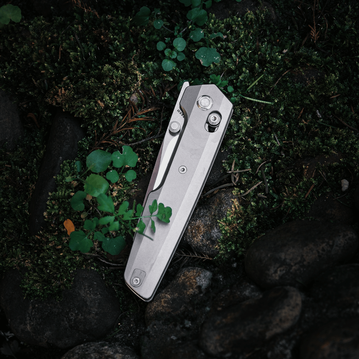 Vosteed Dachshund knife on moss, titanium handle, M390 blade