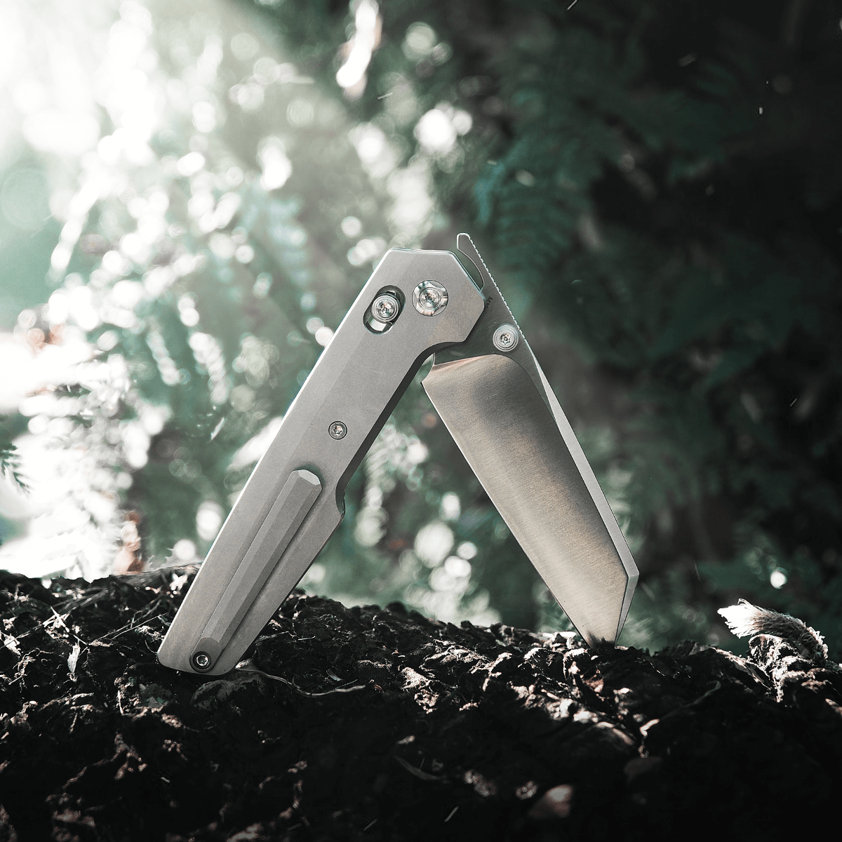 Vosteed Dachshund knife, M390 blade open on a tree trunk