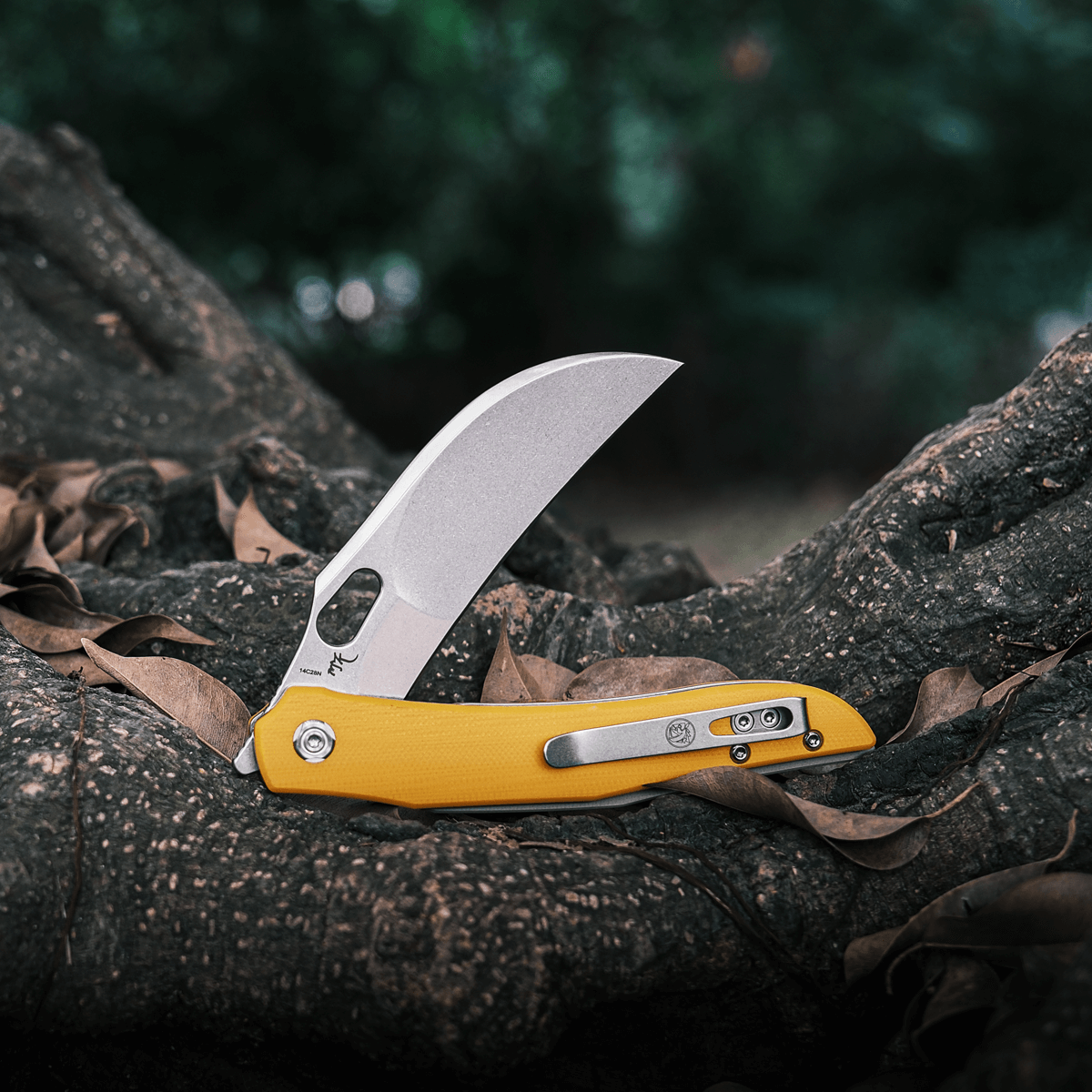 Vosteed Griffin Knife - Hawkbill blade open on tree trunk