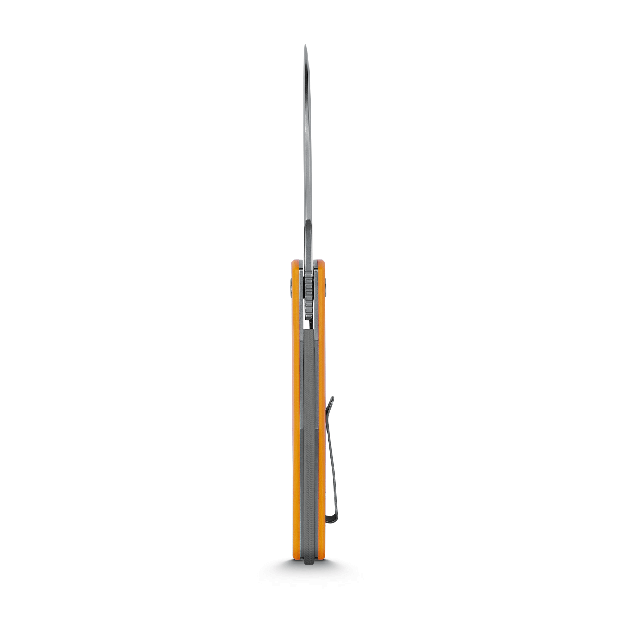 Vosteed Griffin knife profile view