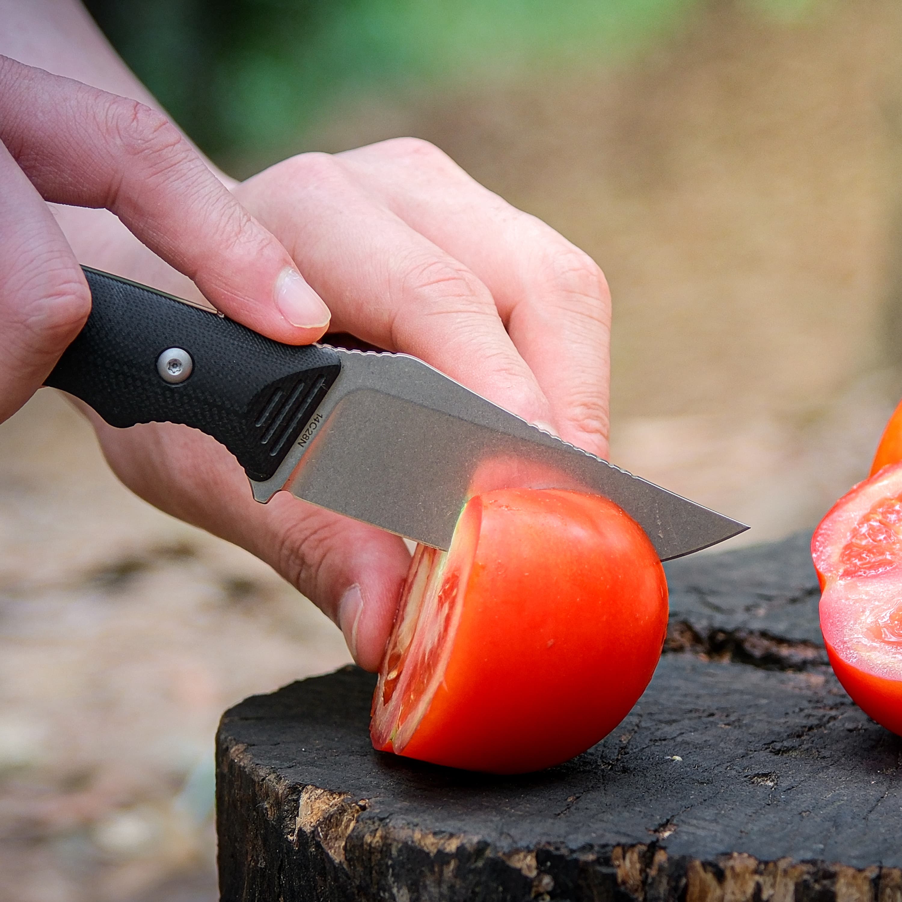 H-Back - Fixed Blade Knife (2.92" 14C28N Blade & G10 Handle) With S.O.A.R. Clip - D0401