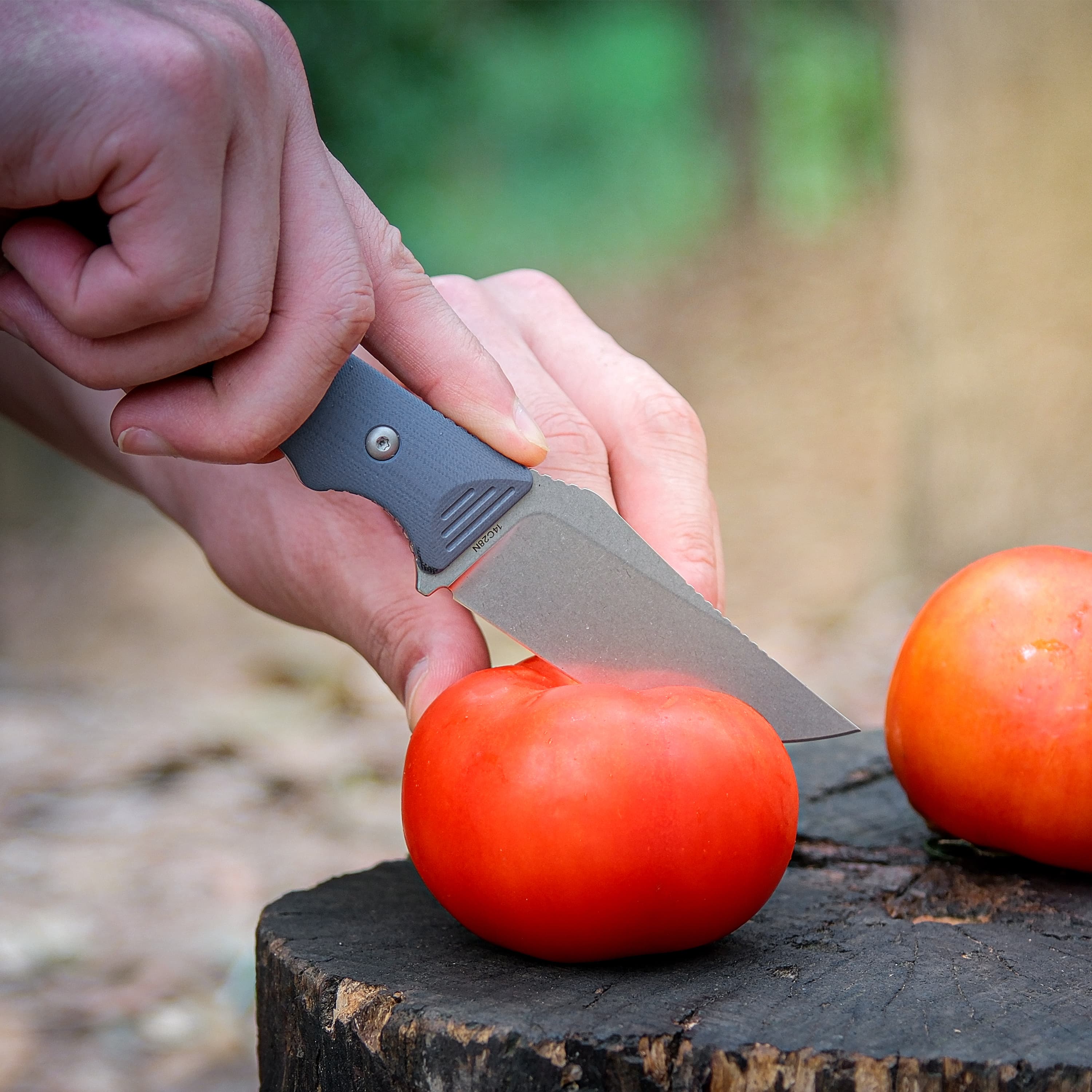 H-Back - Fixed Blade Knife (2.92" 14C28N Blade & G10 Handle) With S.O.A.R. Clip - D0403