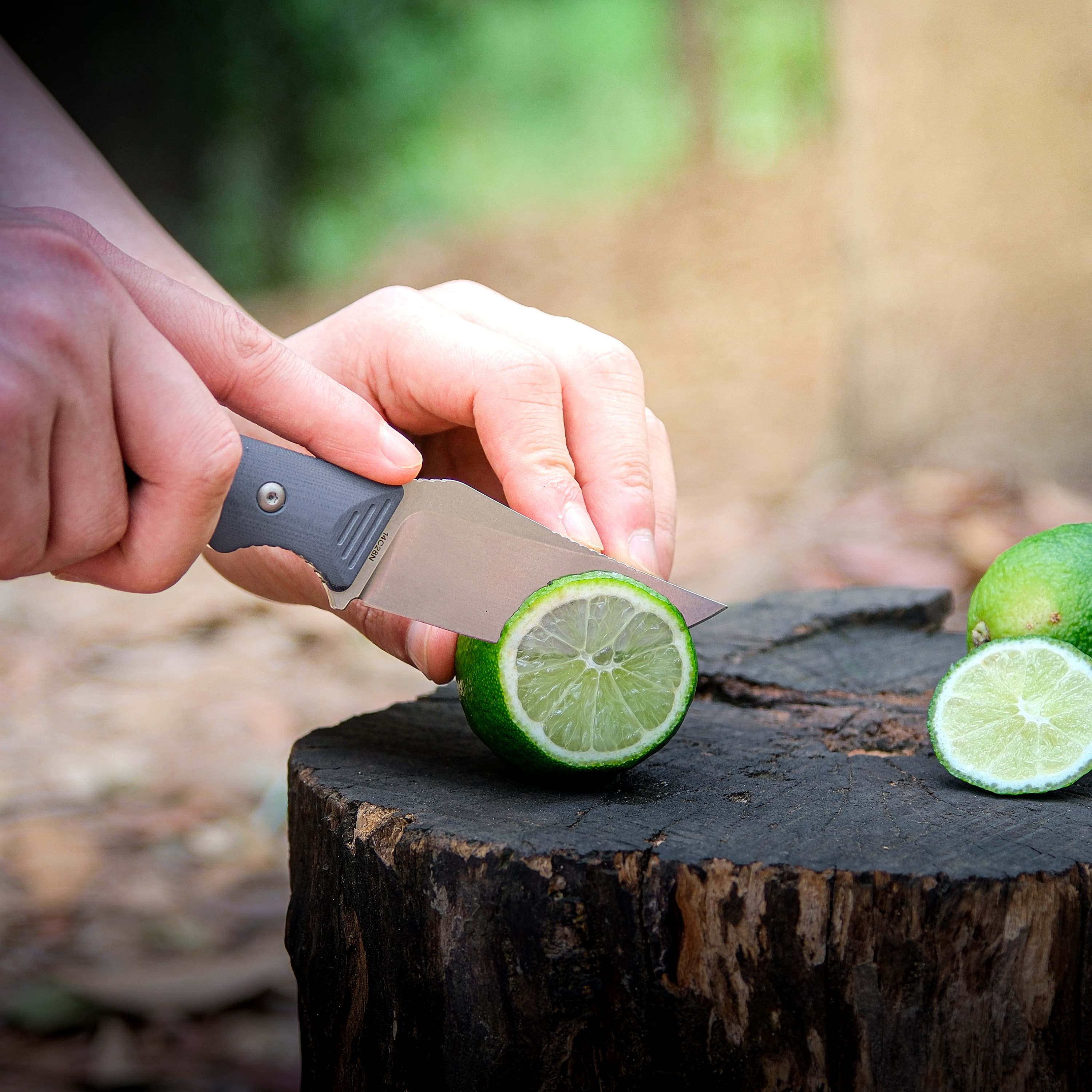 H-Back - Fixed Blade Knife (2.92" 14C28N Blade & G10 Handle) With S.O.A.R. Clip - D0403