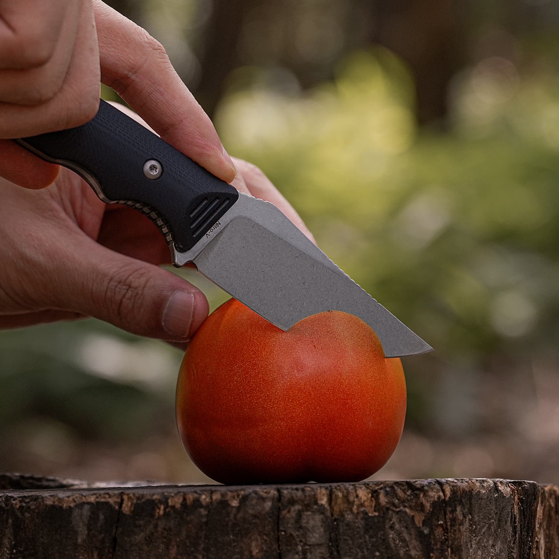 H-Back - Fixed Blade Knife (2.92" Nitro-V Blade & G10 Handle) With S.O.A.R. Clip - D0404