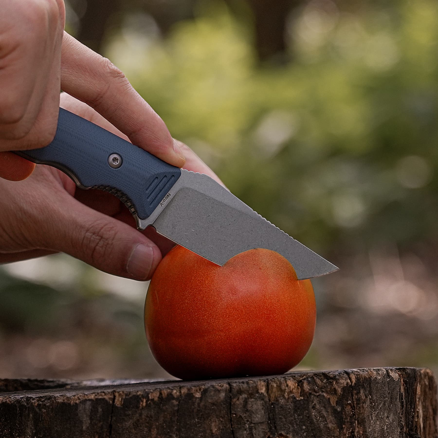 H-Back - Fixed Blade Knife (2.92" Nitro-V Blade & G10 Handle) With S.O.A.R. Clip - D0405