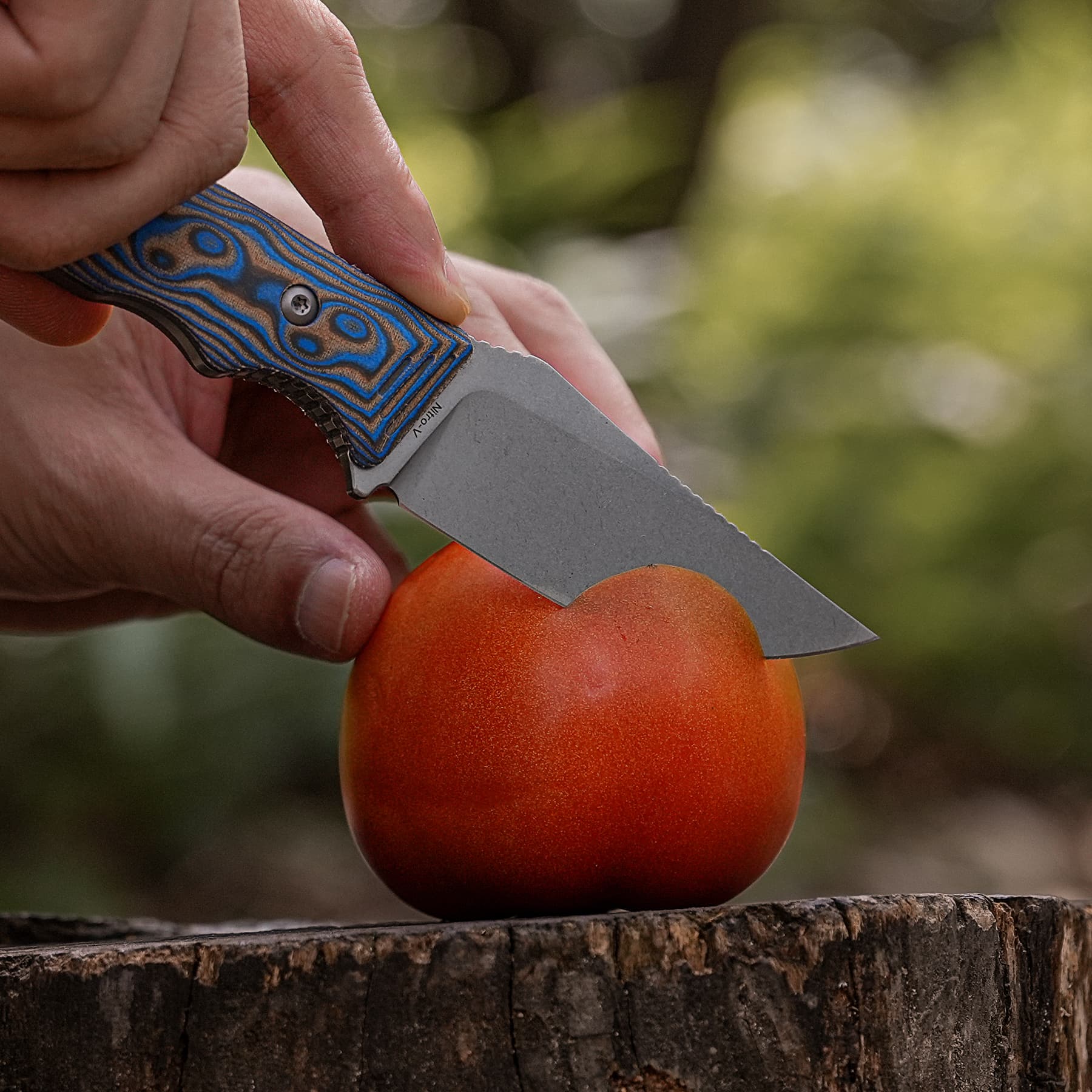 H-Back - Fixed Blade Knife (2.92" Nitro-V Blade & Micarta Handle) With S.O.A.R. Clip - D0407