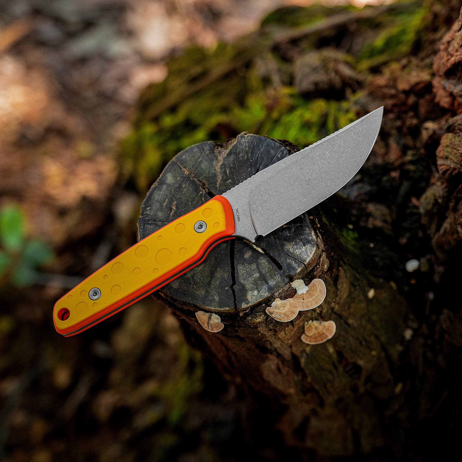 Mink - Fixed Blade Knife (3.33" 14C28N Blade & G10 Handle) - D0116 AMAZON & TIKTOK EXCLUSIVE