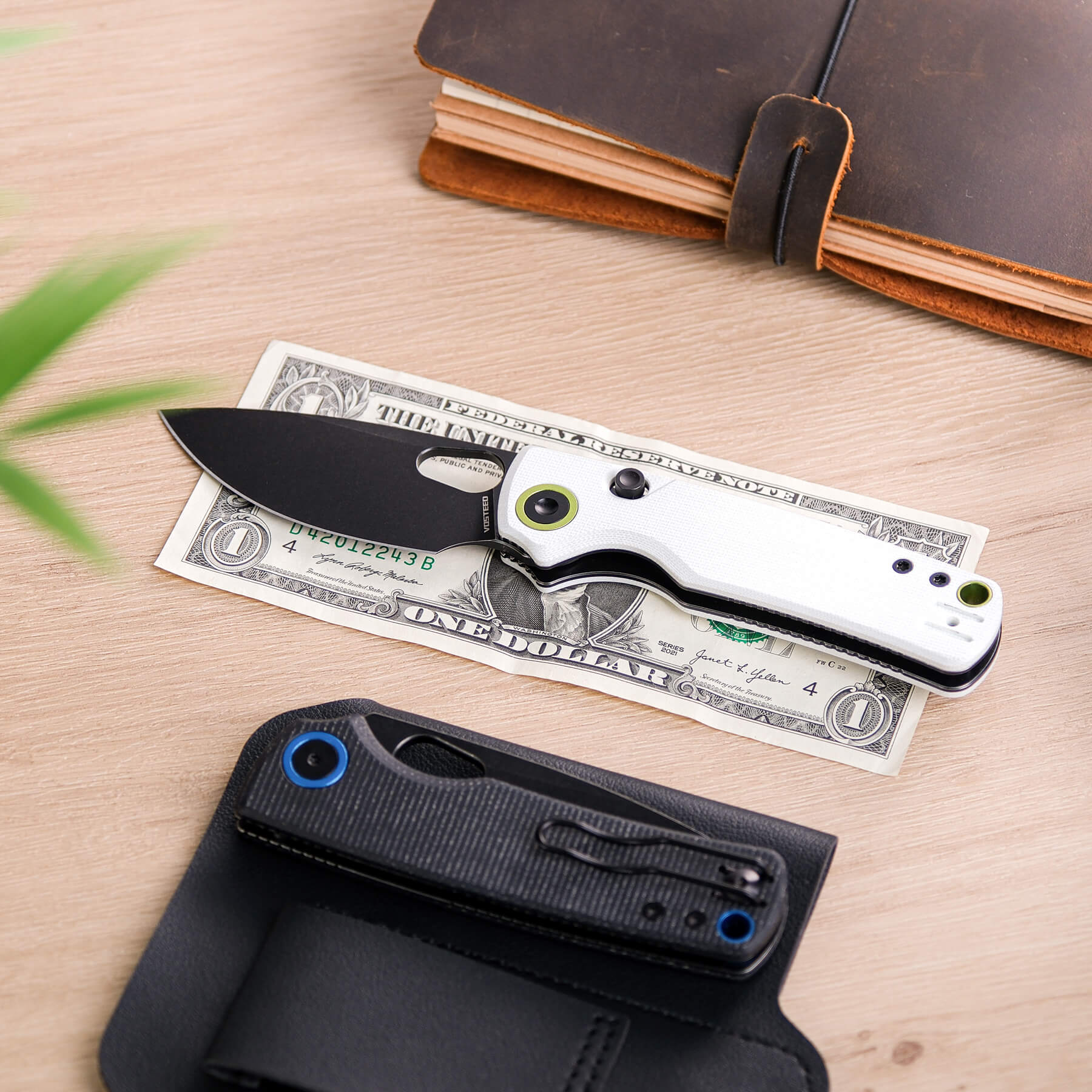 Vosteed Porcupine knife with money