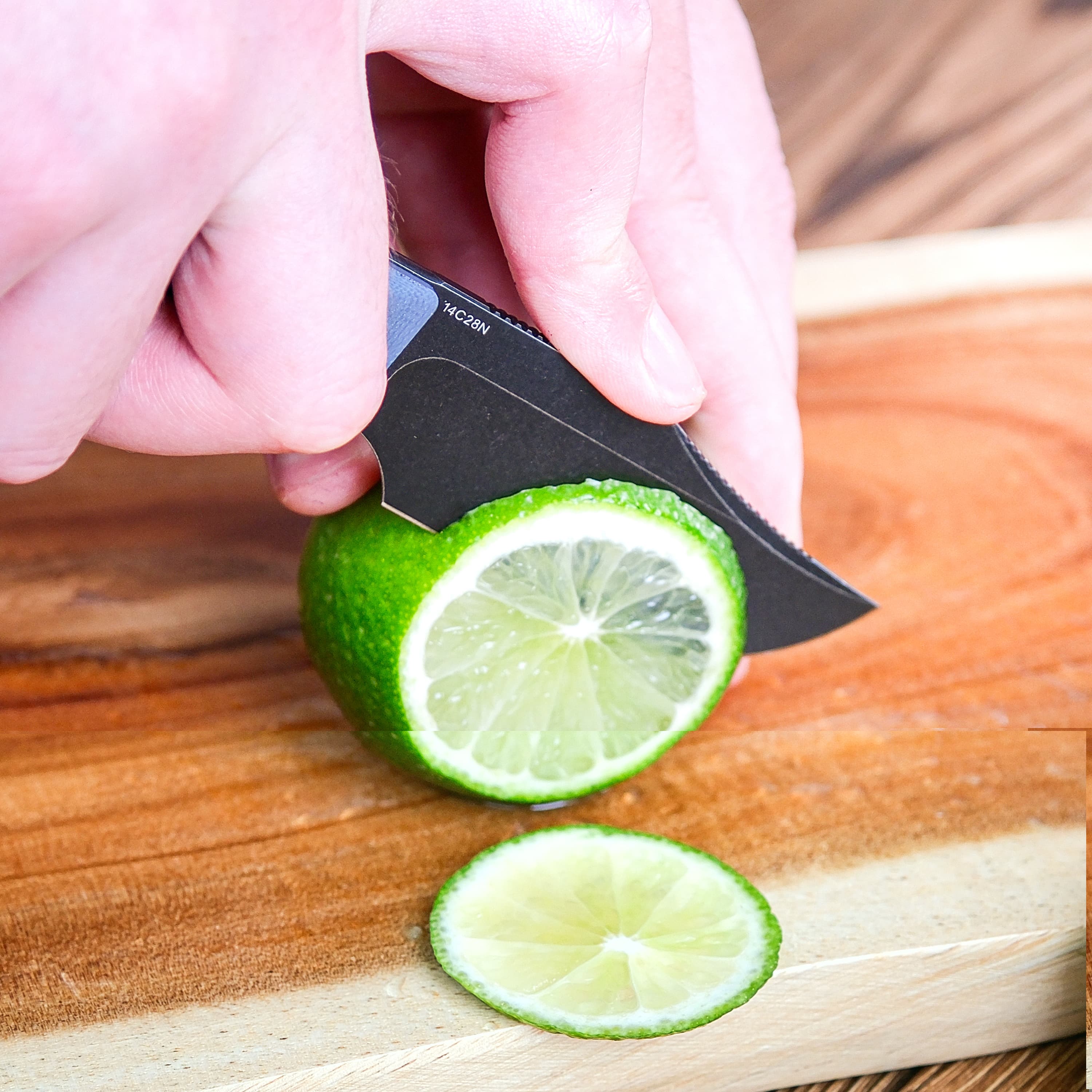 Quokka- Fixed Blade Knife (2.72" 14C28N Blade & G10 Handle) With S.O.A.R. Clip - D0602