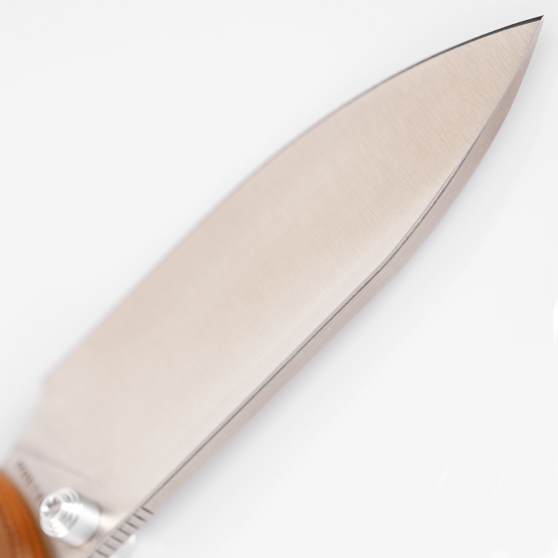 Vosteed Raccoon Knife - Blade Detail