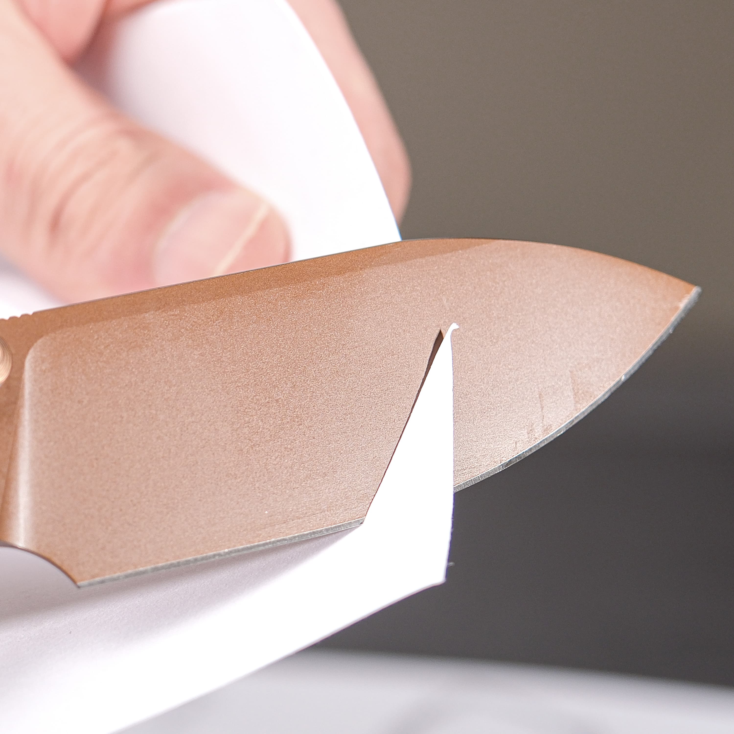 Raccoon® 2.0 - Top Liner Lock (3.25" 14C28N Blade & G10 Handle) - A2913