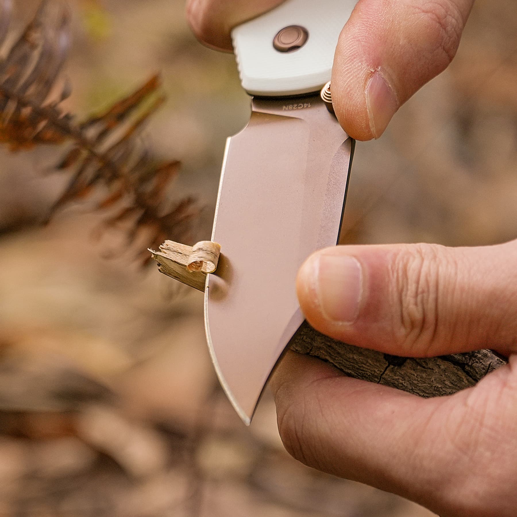 Raccoon® 2.0 - Top Liner Lock (3.25" 14C28N Blade & G10 Handle) - A2925