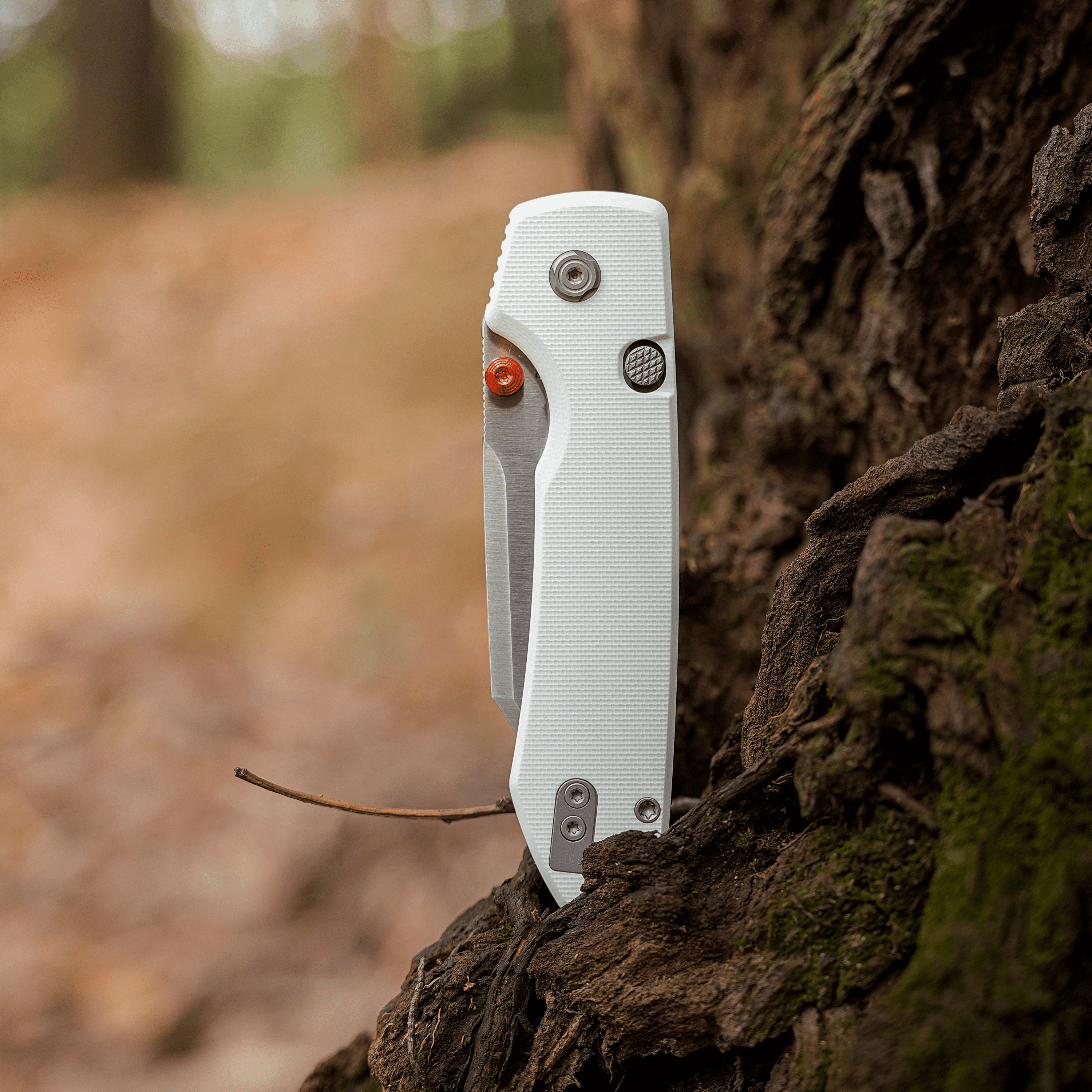 Raccoon® 2.0 - Top Liner Lock (3.25" 14C28N Blade & G10 Handle) - A2912