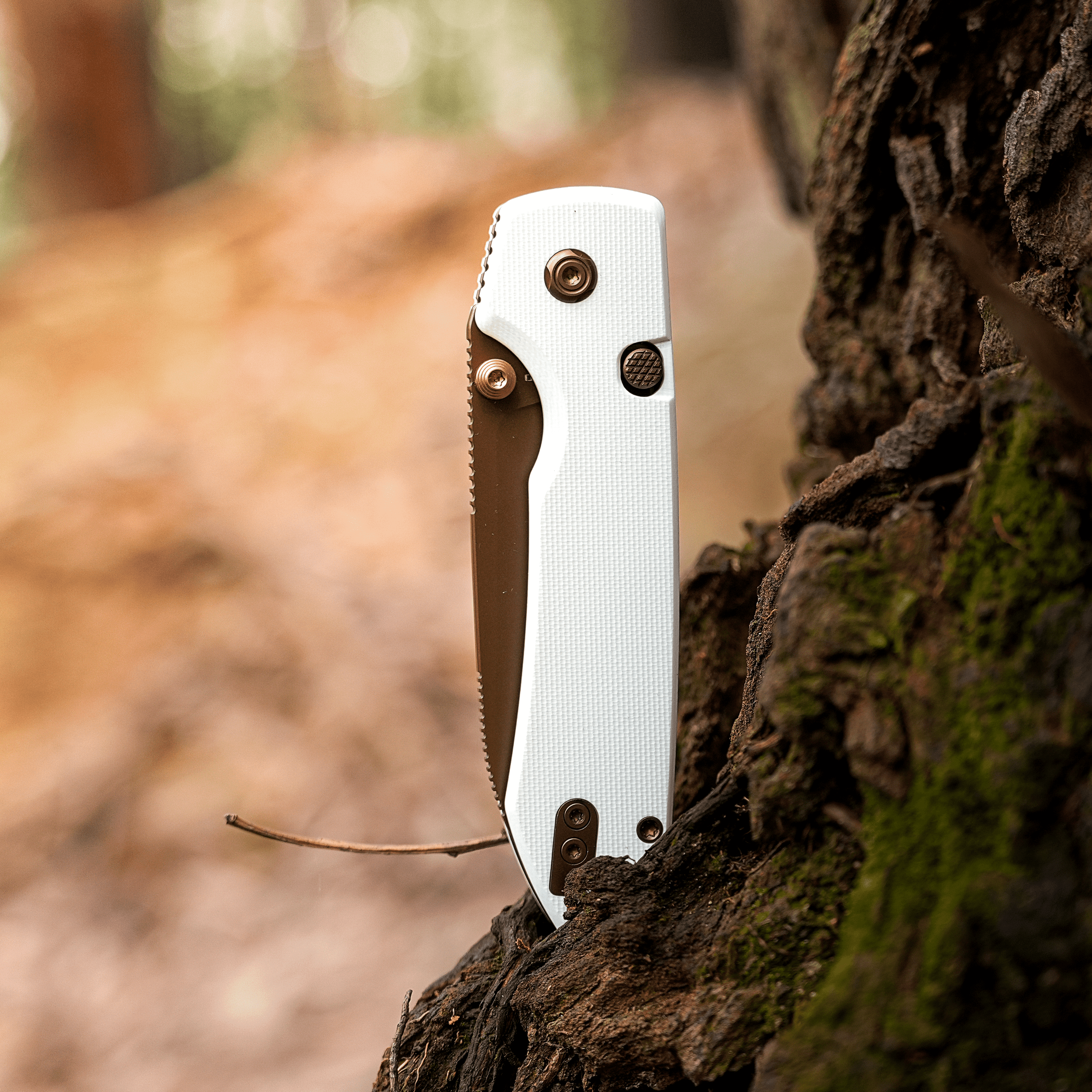 Raccoon® 2.0 - Top Liner Lock (3.25" 14C28N Blade & G10 Handle) - A2913