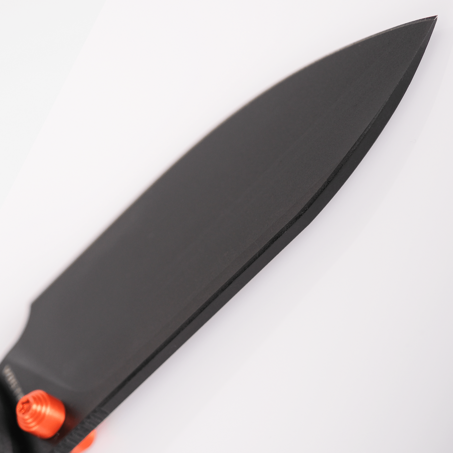 Vosteed Raccoon Knife - Black Nitro-V Blade Detail