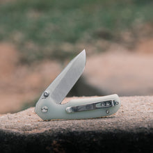 Chipmunk - Liner Lock Knife (2.64" 14C28N Blade & G10 Handle) - A1403
