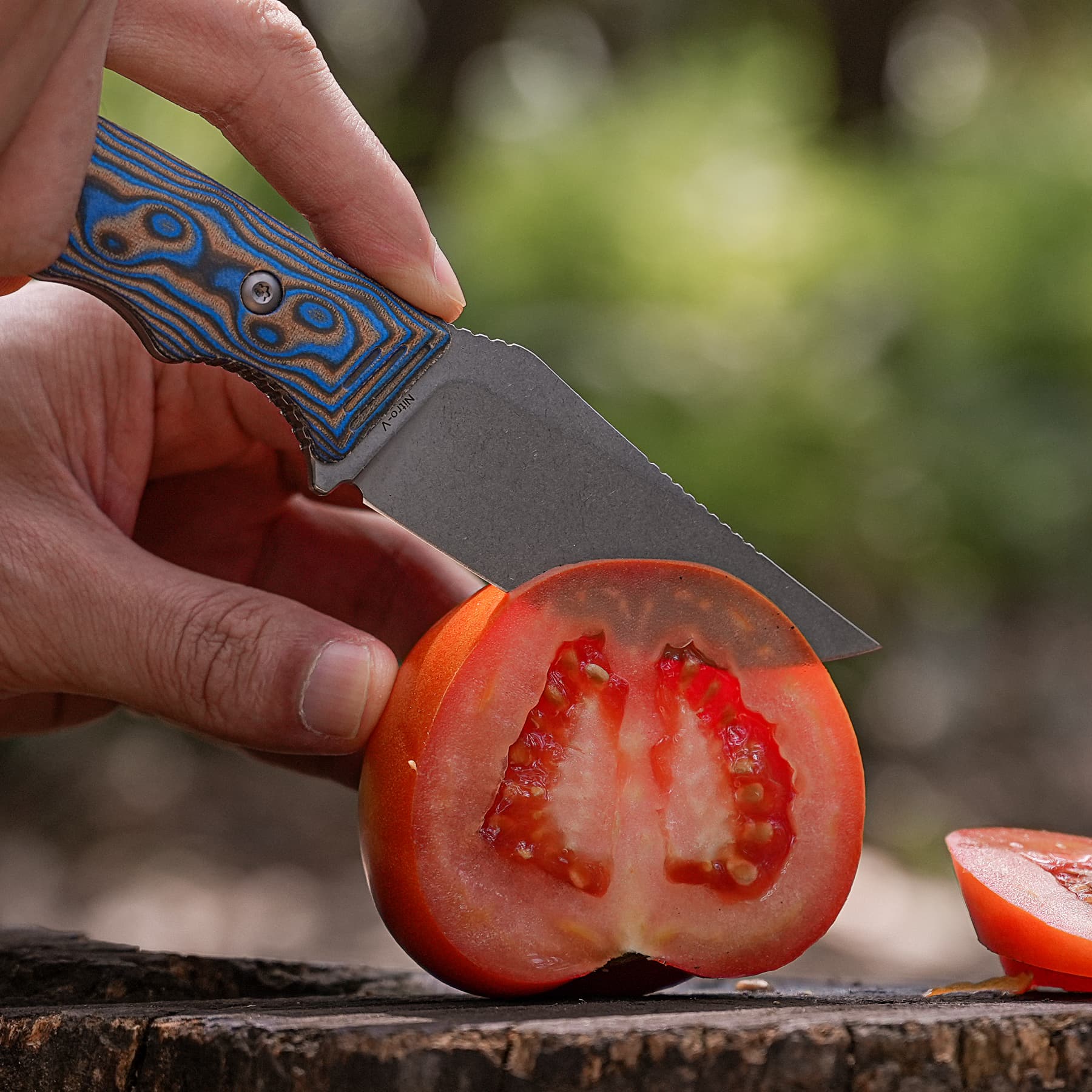 H-Back - Fixed Blade Knife (2.92" Nitro-V Blade & Micarta Handle) With S.O.A.R. Clip - D0407