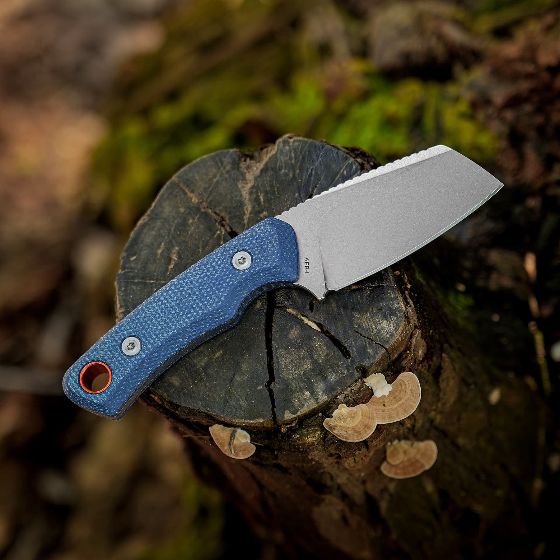 Marmoset - Fixed Blade Knife - (2.20" AEB-L Blade & Micarta Handle) - D0704 - AMAZON & TIKTOK EXCLUSIVE