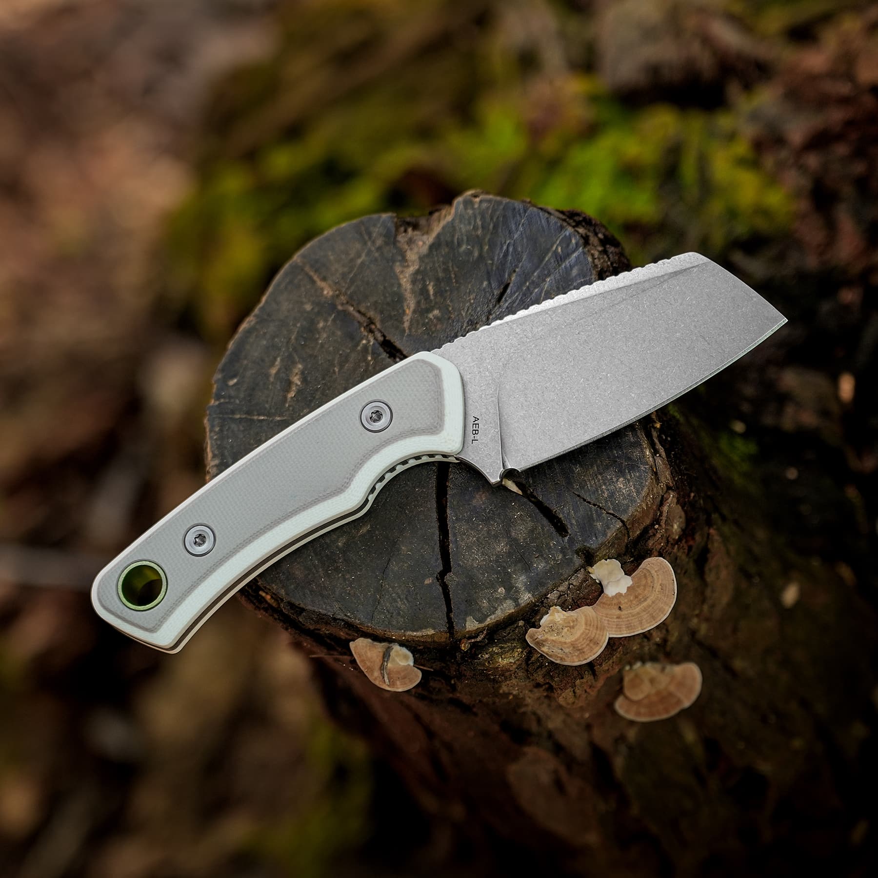 Marmoset - Fixed Blade Knife -(2.20" AEB-L Blade & G10 Handle) - D0705 - AMAZON & TIKTOK EXCLUSIVE