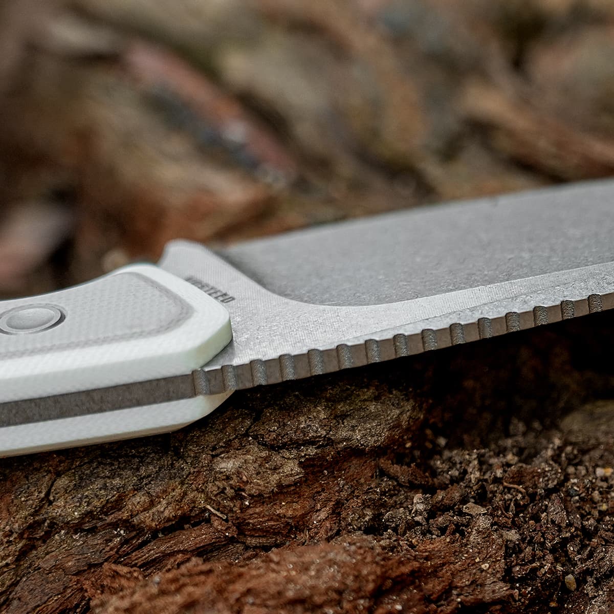 Marmoset - Fixed Blade Knife -(2.20" AEB-L Blade & G10 Handle) - D0705 - AMAZON & TIKTOK EXCLUSIVE