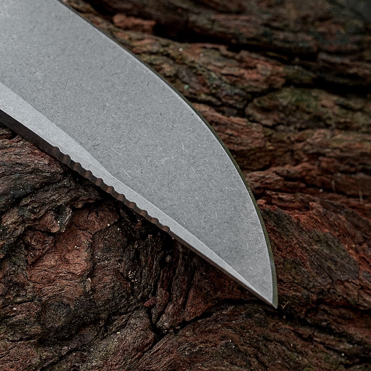 Mink - Fixed Blade Knife  (3.33" 14C28N Blade & G10 Handle) - D0116 AMAZON & TIKTOK EXCLUSIVE