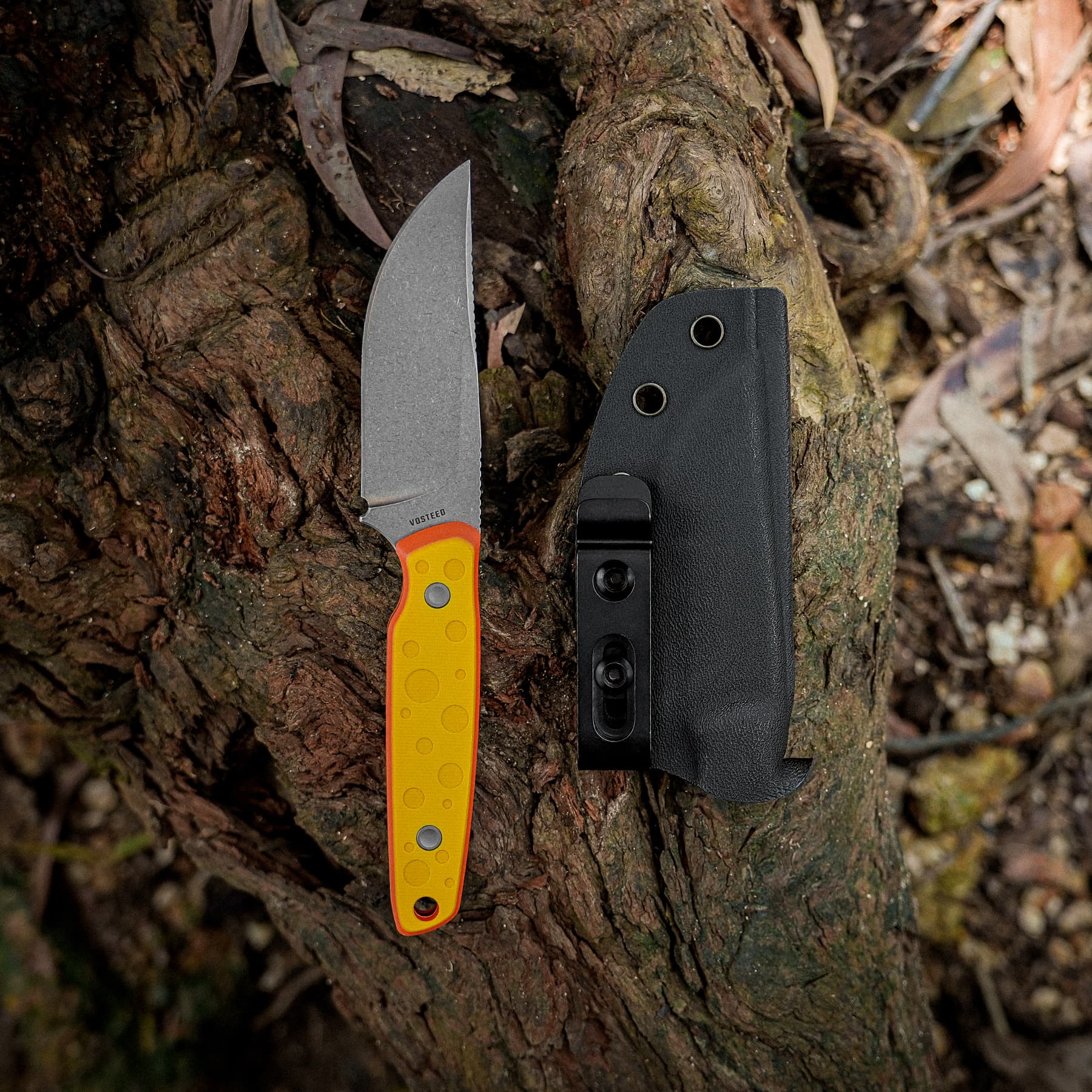 Mink - Fixed Blade Knife  (3.33" 14C28N Blade & G10 Handle) - D0116 AMAZON & TIKTOK EXCLUSIVE