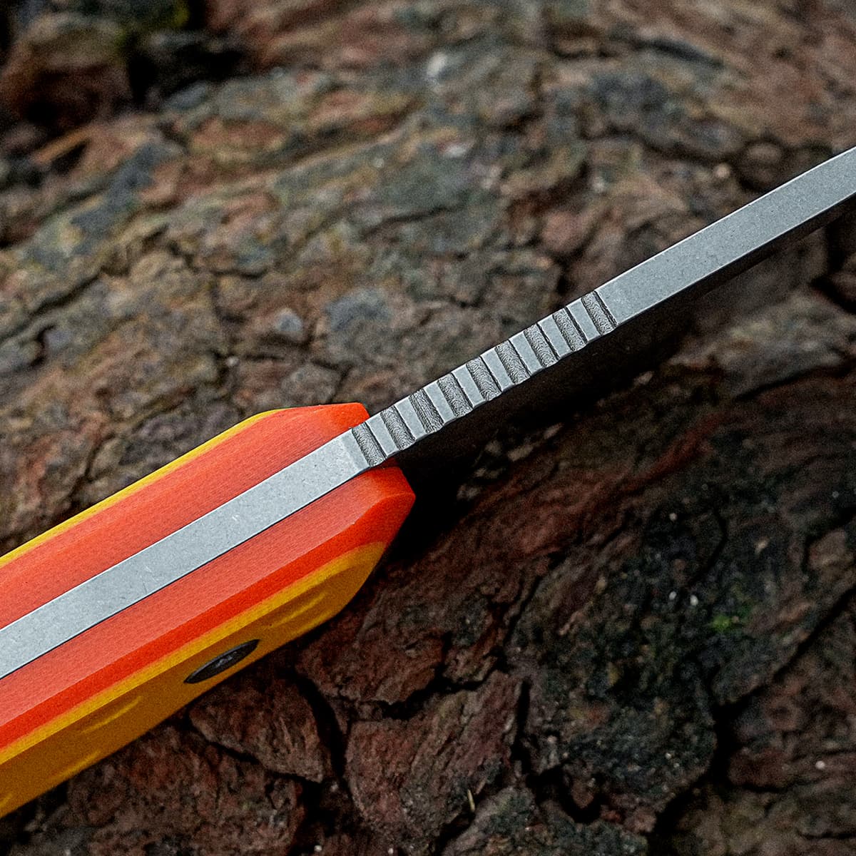 Mink - Fixed Blade Knife  (3.33" 14C28N Blade & G10 Handle) - D0116 AMAZON & TIKTOK EXCLUSIVE