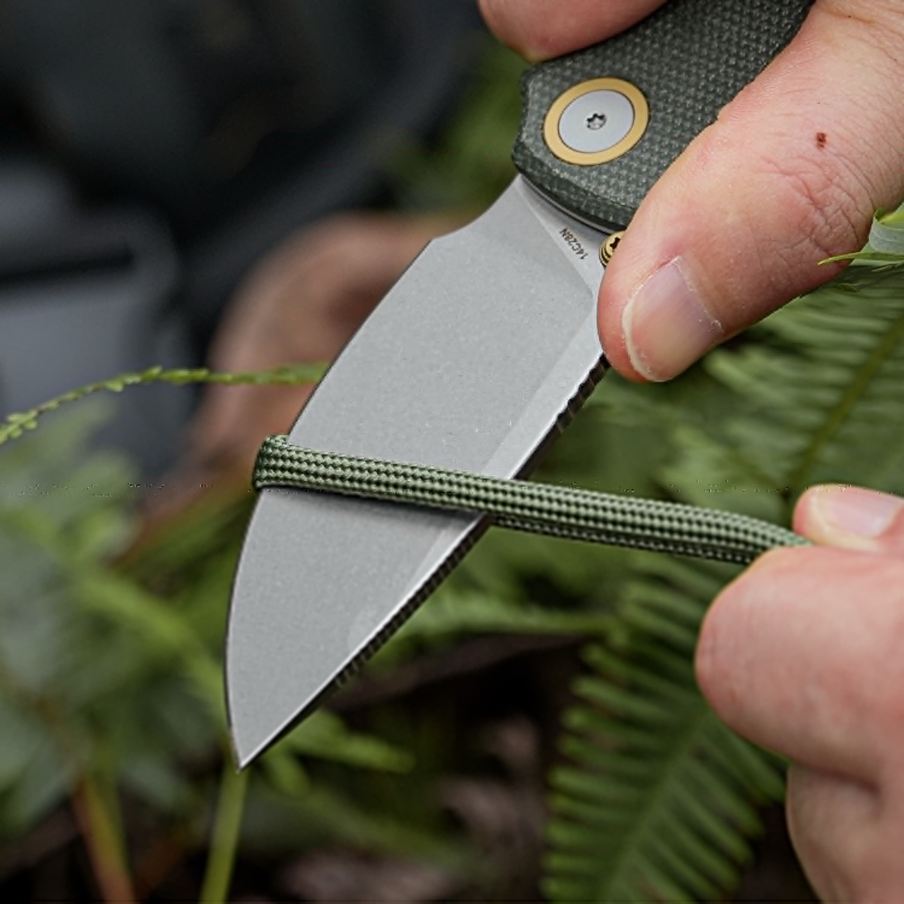 Porcupine - Top Liner Lock  (2.99" 14C28N Blade & Micarta Handle) - A2611