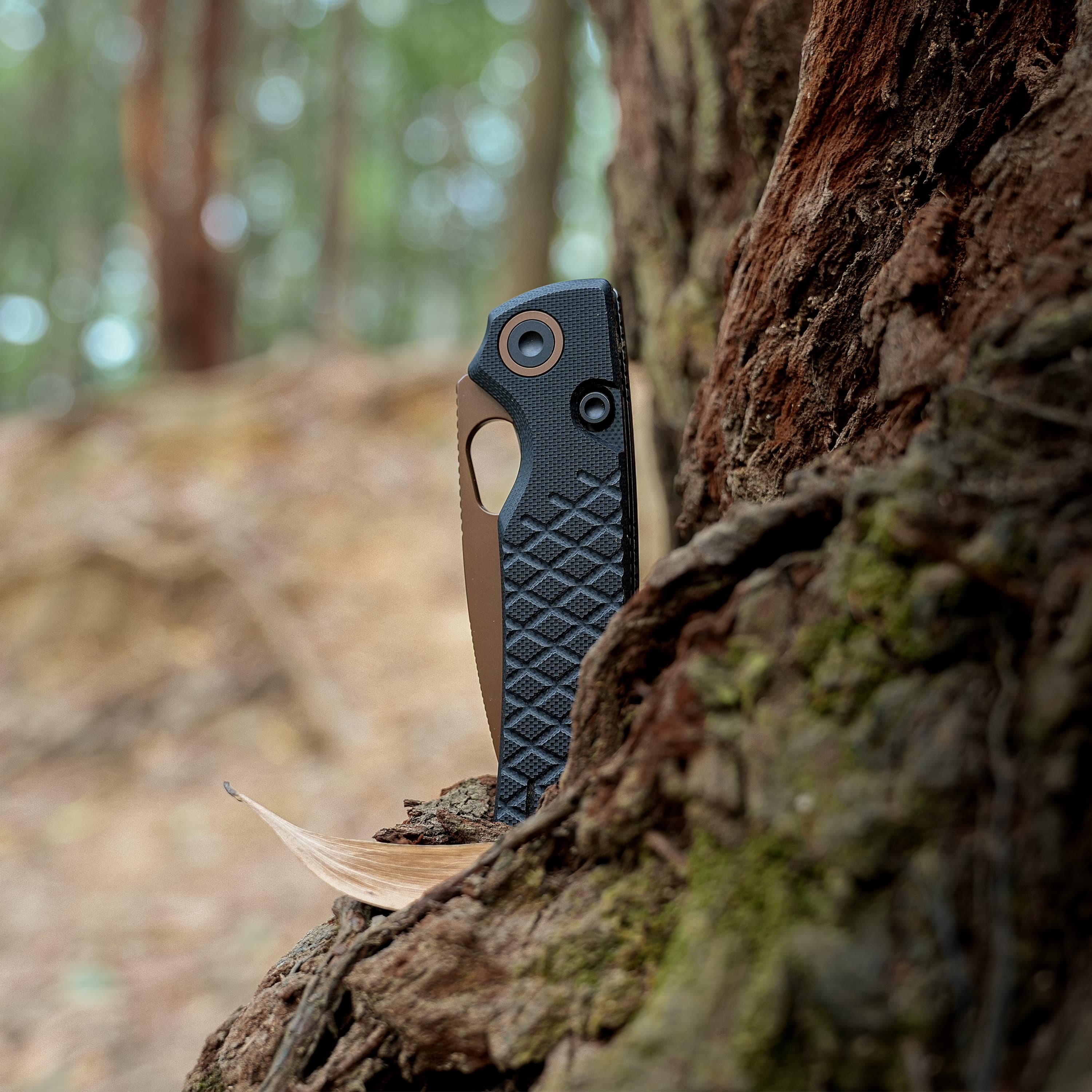 Porcupine- Top Liner Lock (2.99" 14C28N Blade & G10 Handle) - A2622 - AMAZON EXCLUSIVE