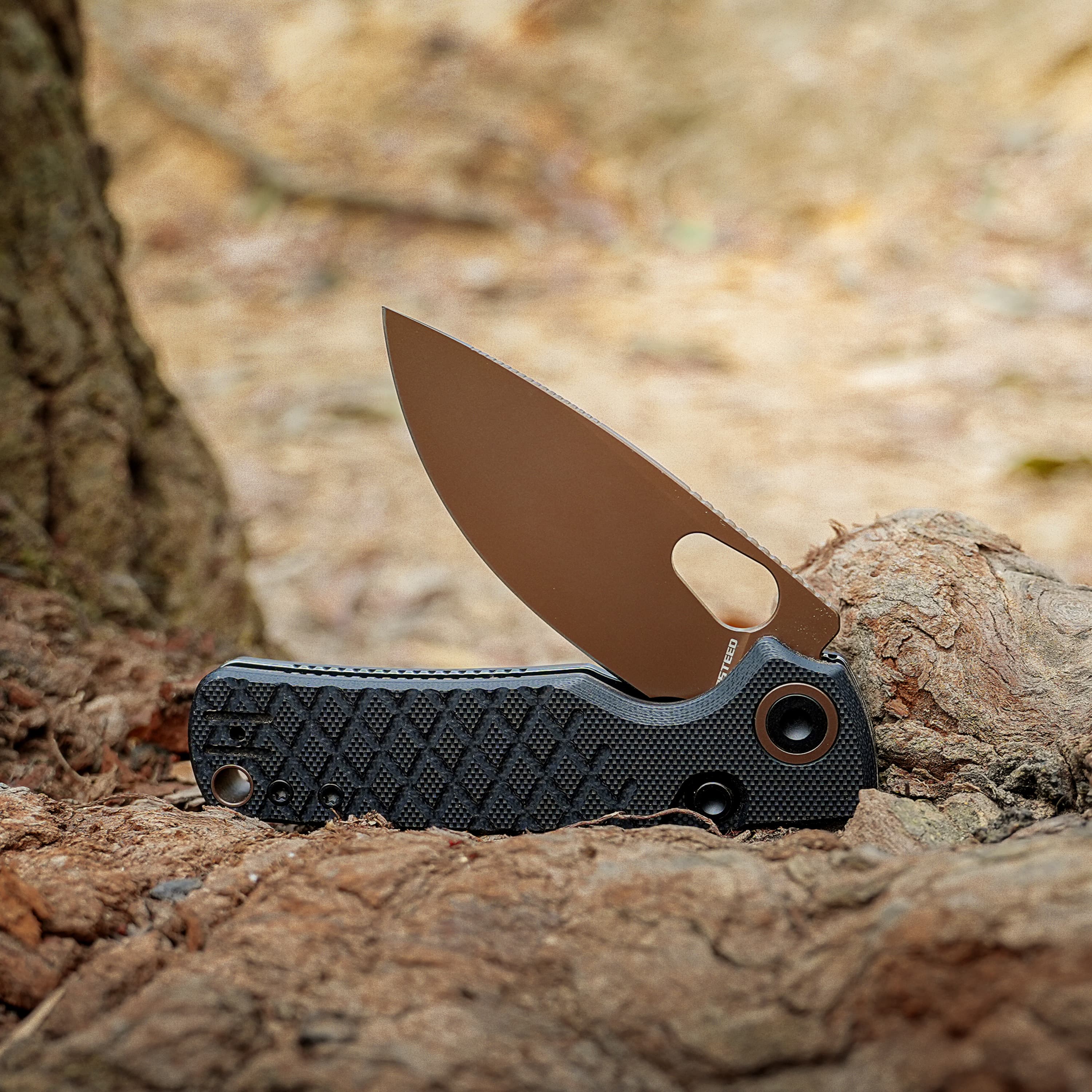 Porcupine- Top Liner Lock (2.99" 14C28N Blade & G10 Handle) - A2622 - AMAZON EXCLUSIVE