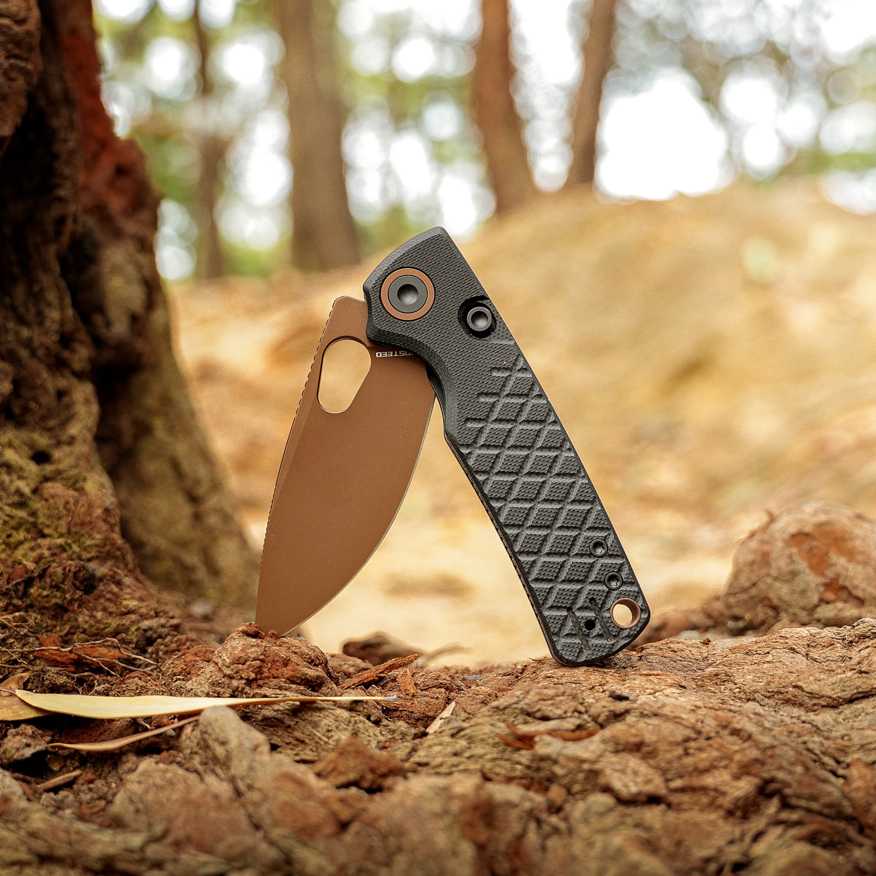 Porcupine- Top Liner Lock (2.99" 14C28N Blade & G10 Handle) - A2622 - AMAZON EXCLUSIVE