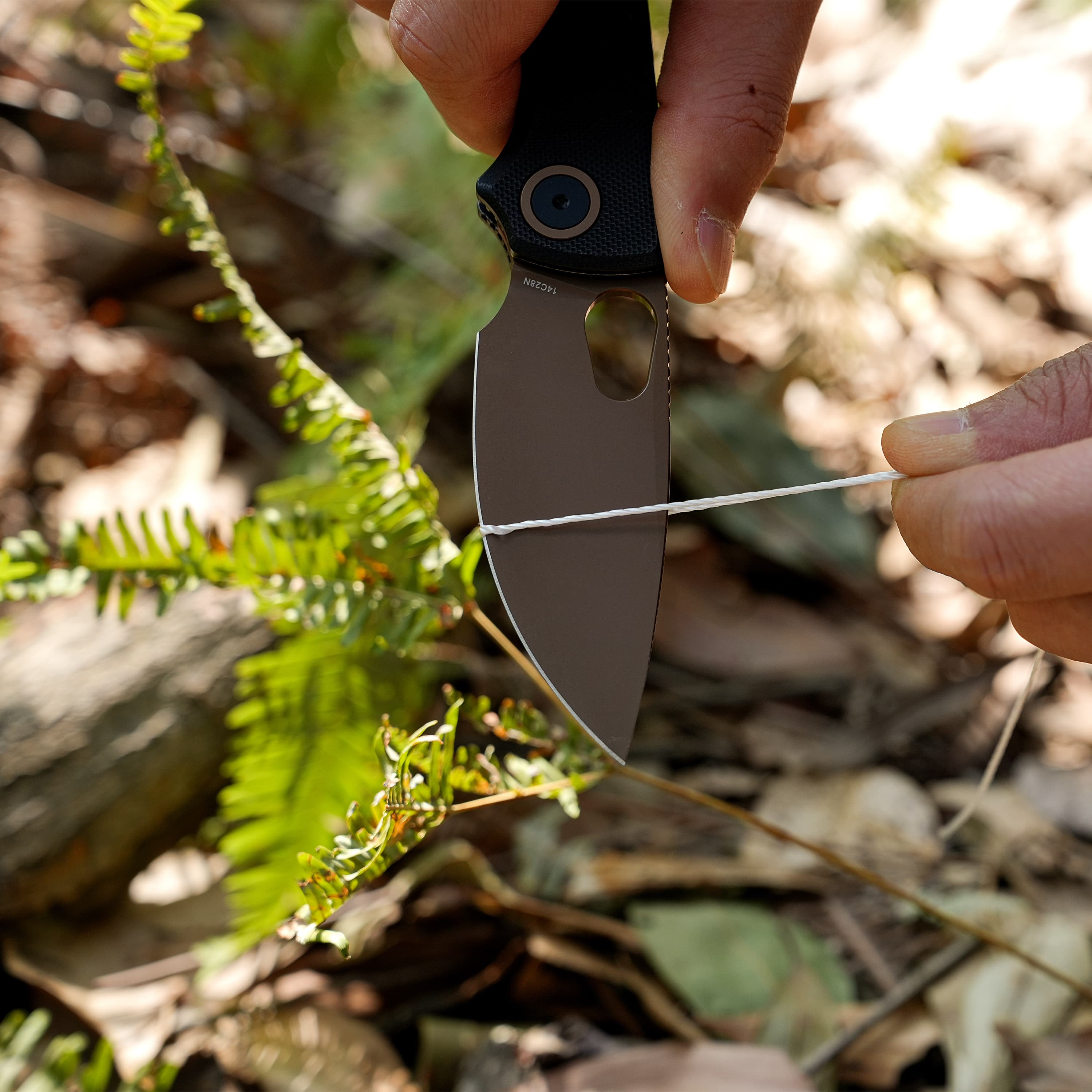 Porcupine- Top Liner Lock (2.99" 14C28N Blade & G10 Handle) - A2622 - AMAZON EXCLUSIVE