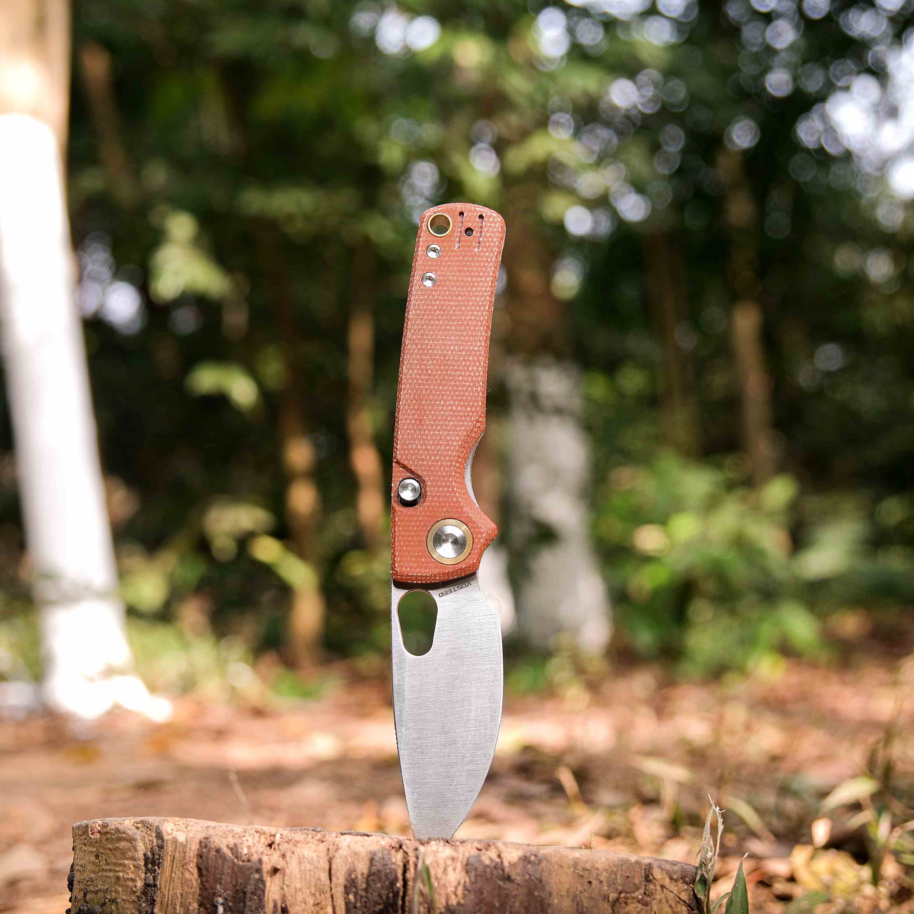 Porcupine - Top Liner Lock  (2.99" 14C28N Blade & Micarta Handle) - A2604