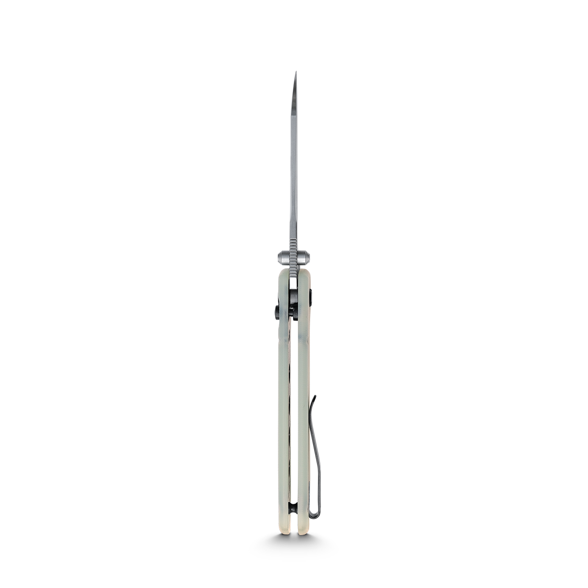 Raccoon - Crossbar Lock knife (3.25