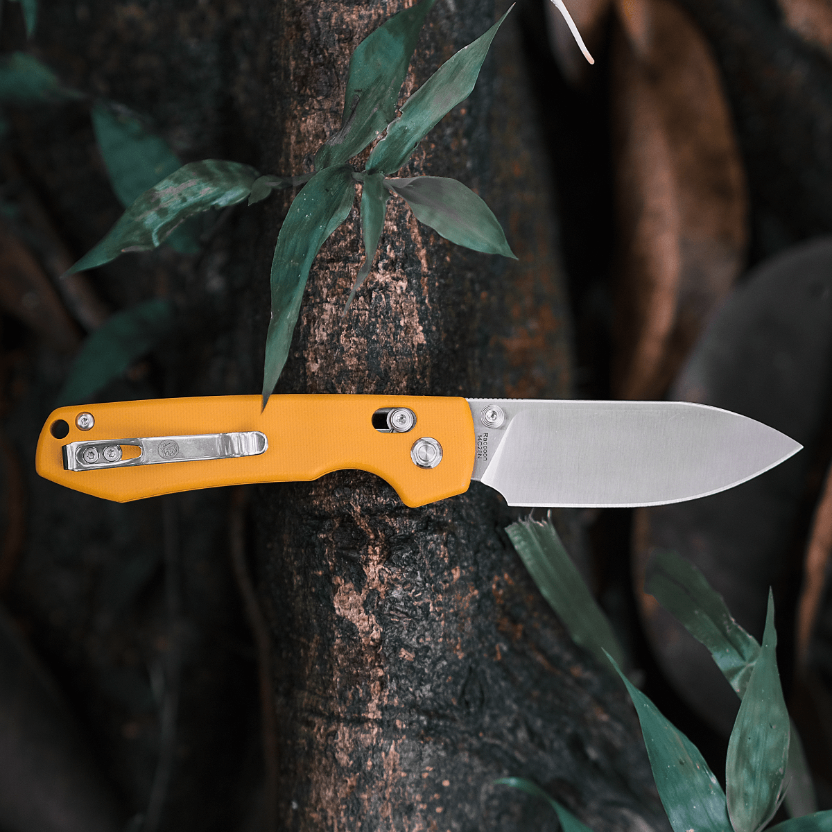 Raccoon® - Crossbar Lock knife (3.25" 14C28N Blade & G10 Handle) - A0509