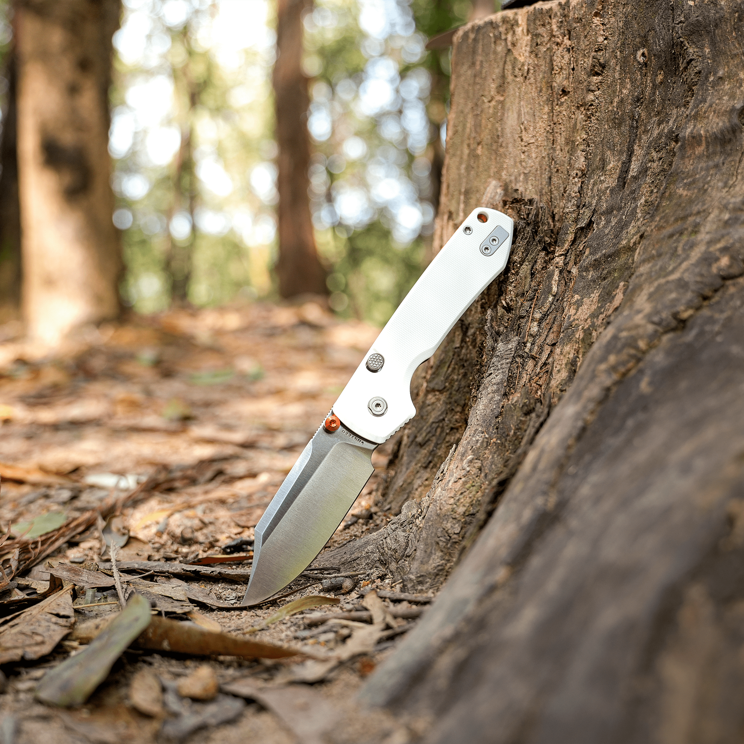 Raccoon® 2.0 - Top Liner Lock (3.25" 14C28N Blade & G10 Handle) - A2912