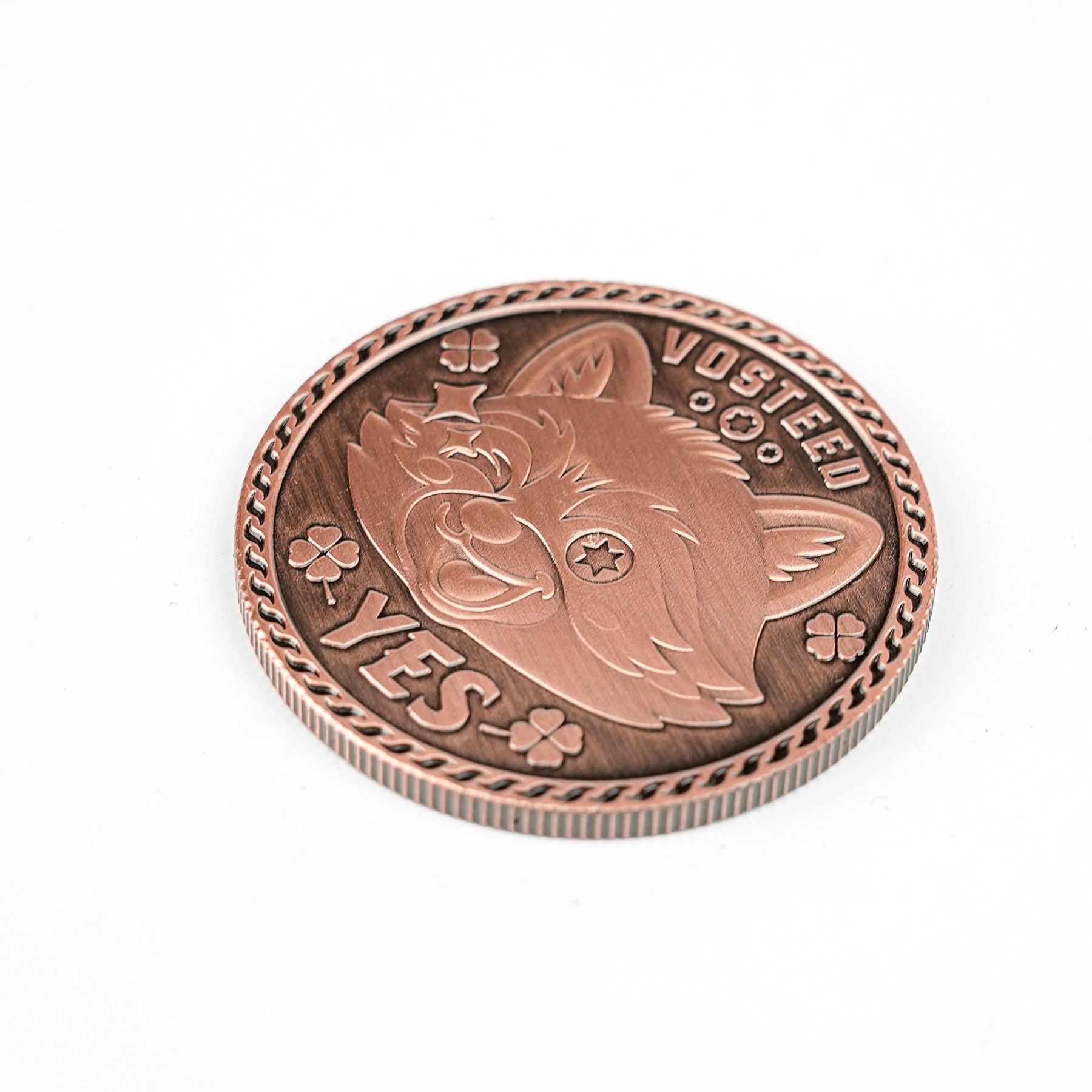 Raccoon Decision Coin - X0197 (For V-Patch Collection Redemption Only)
