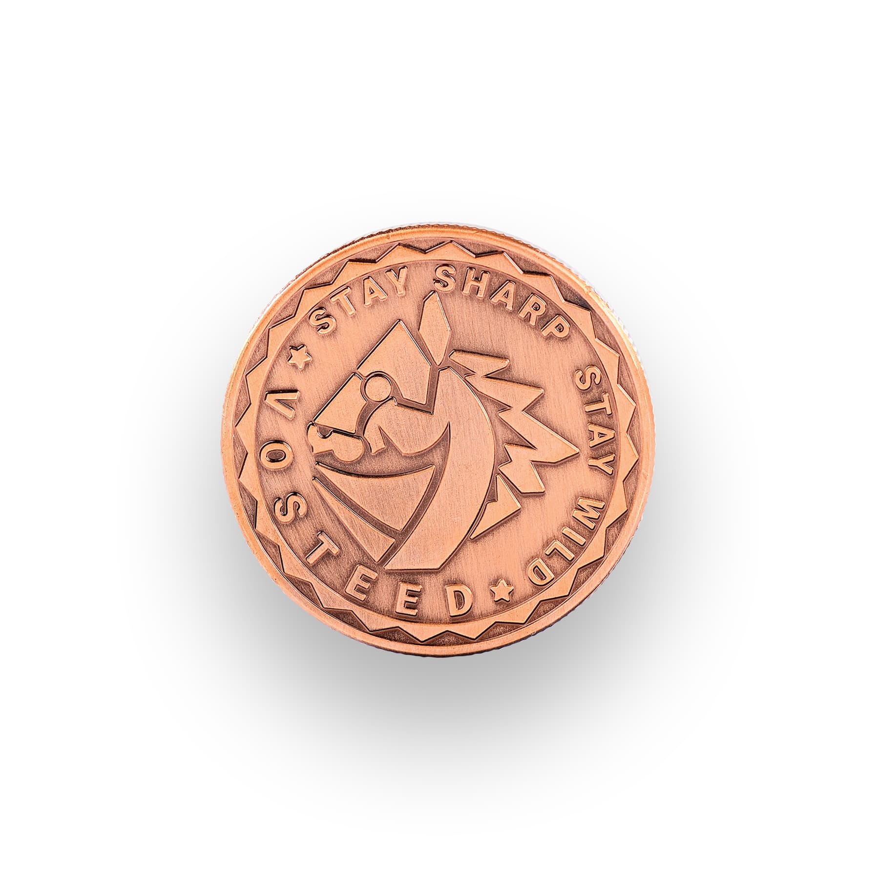 Vosteed Raccoon Coin- X0142 (not for sale)