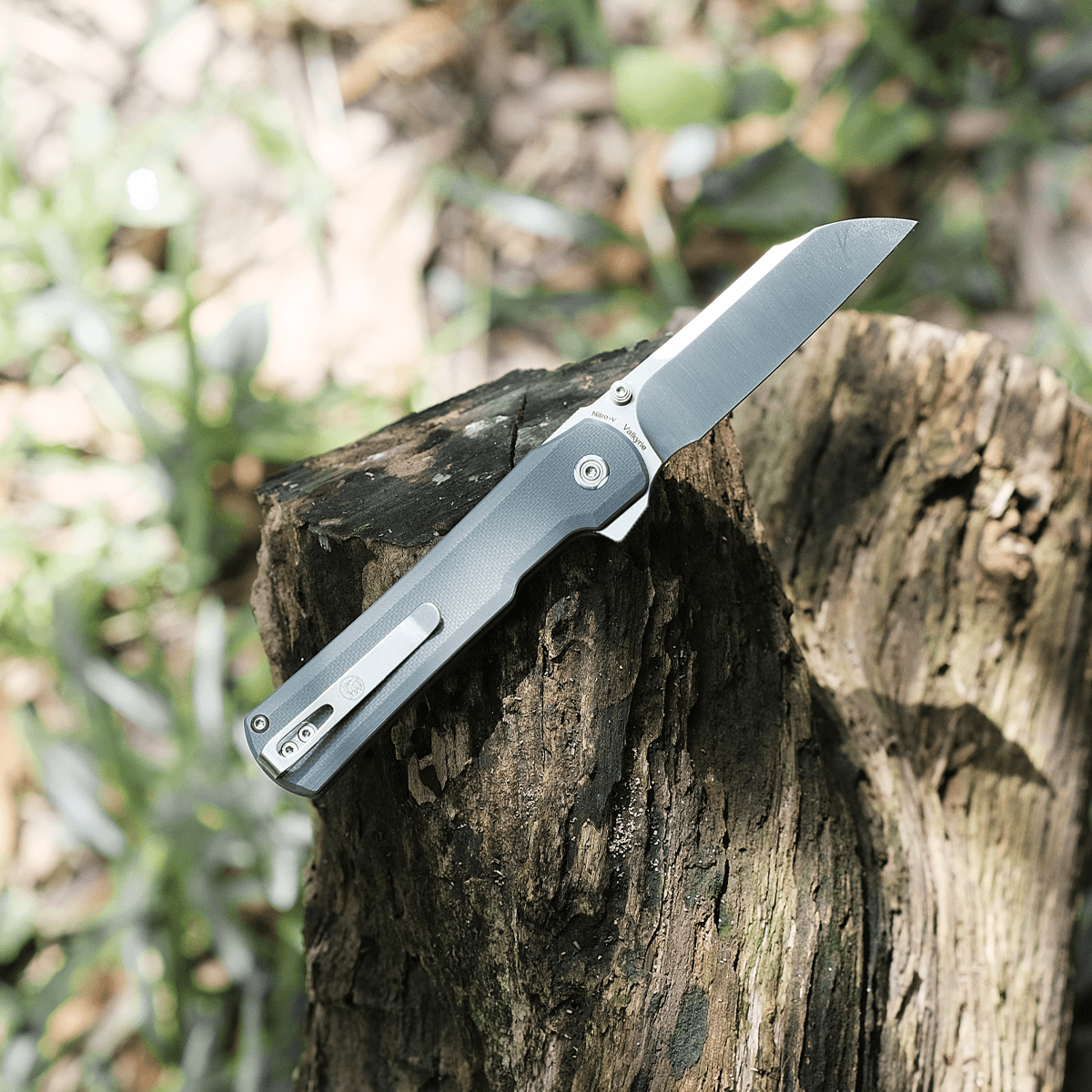 Vosteed Valkyrie knife on wooden stump with Sheepsfoot blade