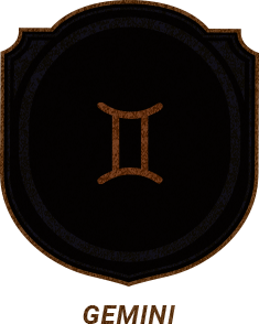 GEMINI locked